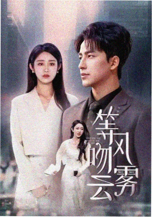 镜中访客剧照